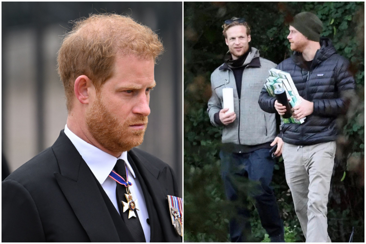 Prince Harry