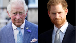 King Charles ‘doesn’t want to give up’ on Prince Harry