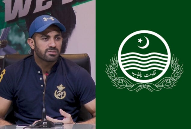 Wahab Riaz named caretaker Sports Minister of Punjab
