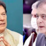 Government withdraws security of Imran Khan: Shibli Faraz  