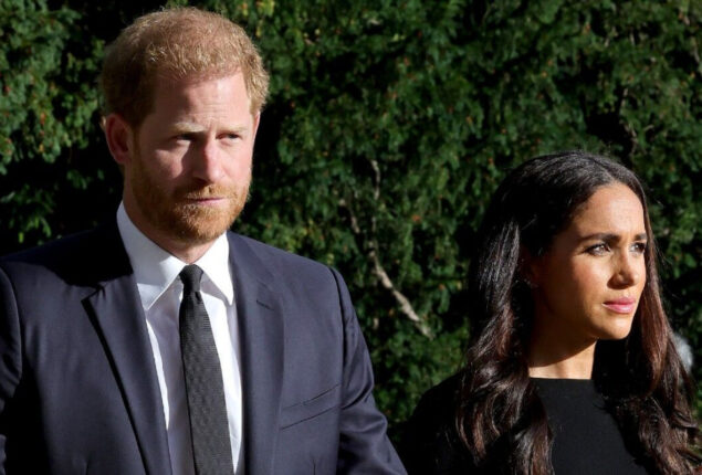 Prince Harry and Meghan Markle causing ‘Sussex fatigue’