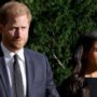 Prince Harry and Meghan Markle causing ‘Sussex fatigue’