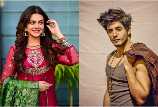 Zara Noor and Danyal Zafar stars together in upcoming project