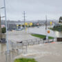 Three dead as torrential rain causes disastrous New Zealand flood