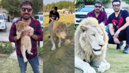 Yasir Hussain