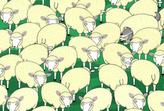 Optical Illusion: Can you spot the Wolf among the sheep in 7 secs?