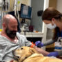 Dog is not leaving man side after heart attack: Viral Video