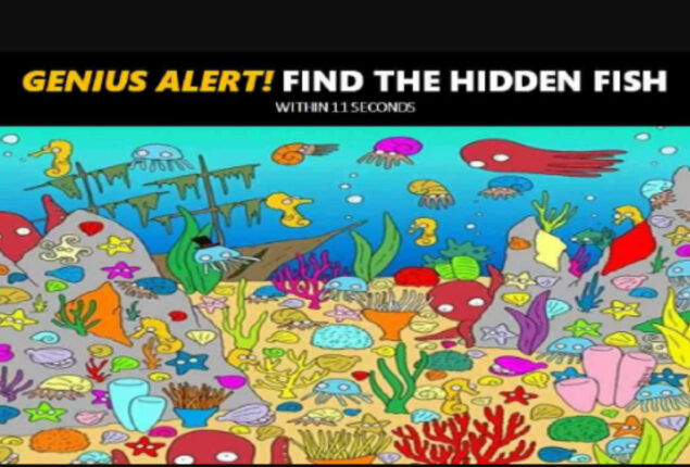 Picture Puzzle: Find the Fish Hidden in this ocean scene