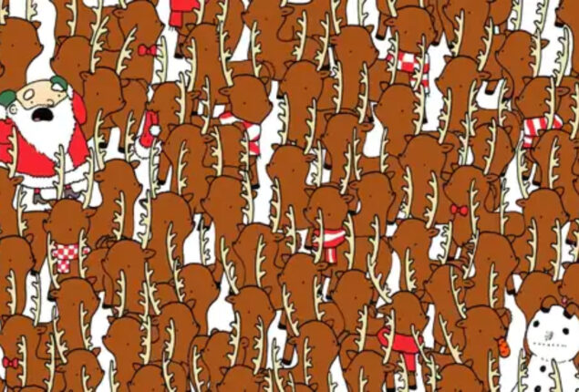 A bear is concealed in this brain teaser. Can you find it quickly?
