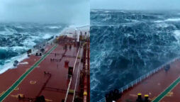 Huge ship is shaken violently by enormous sea waves like a toy