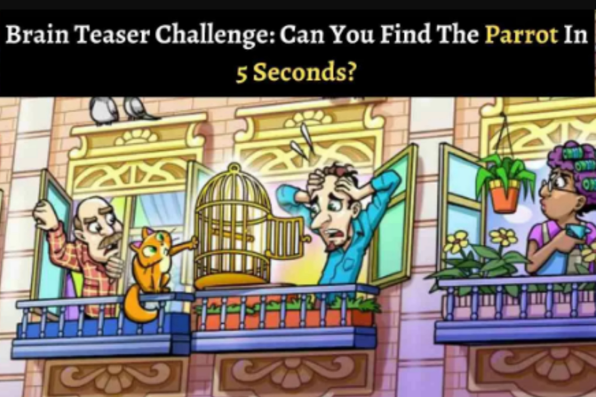 Brain Teaser