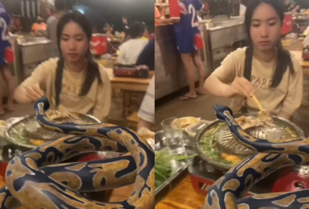 Women dining with python