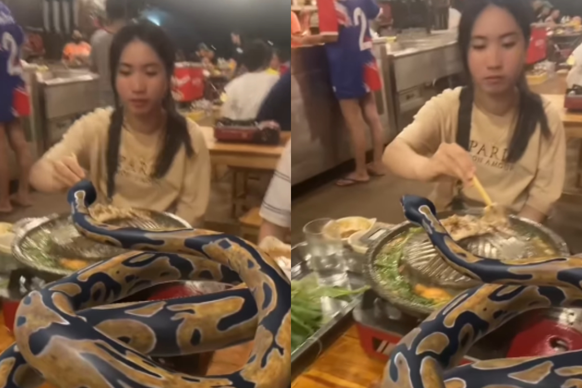 Women dining with python
