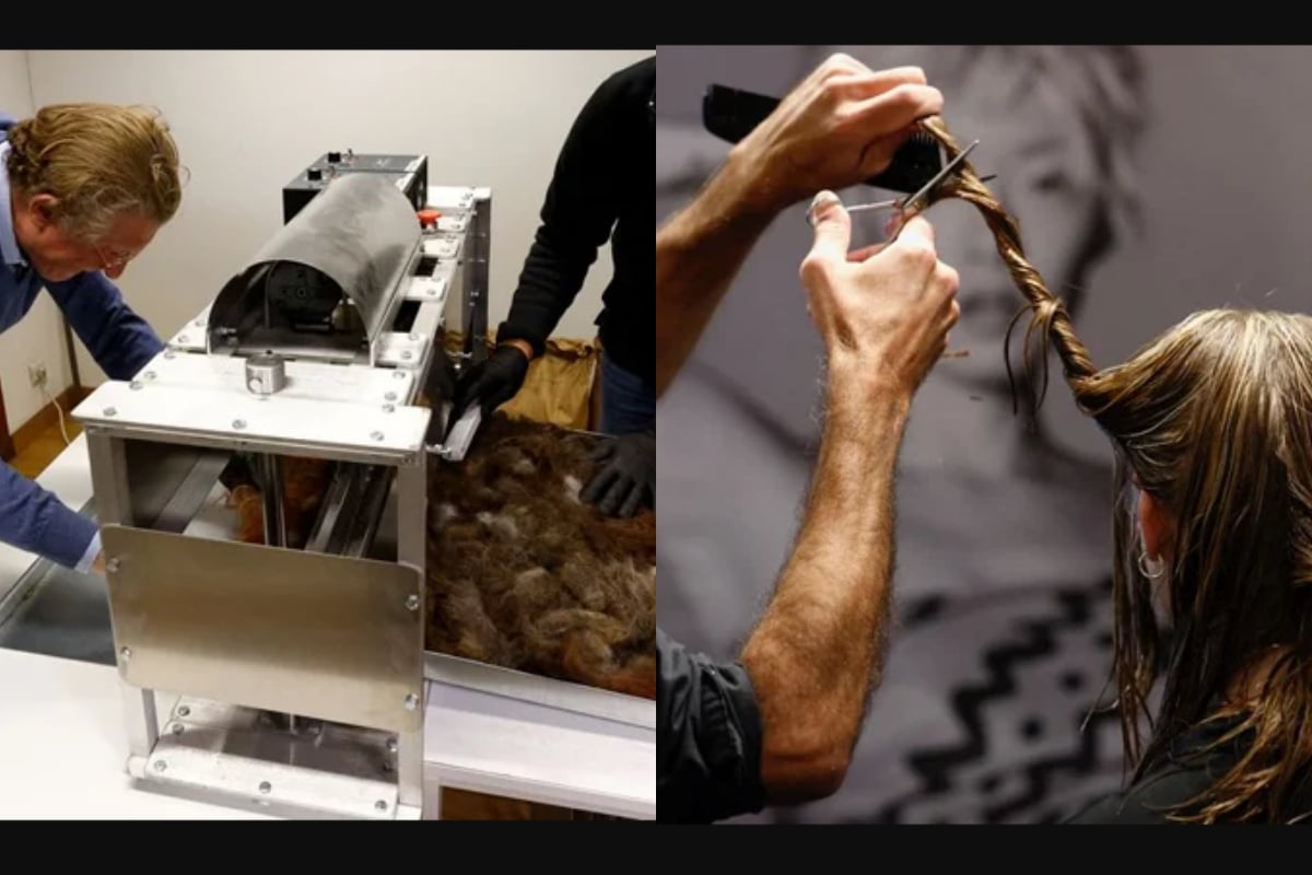human hair