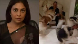 Shefali Shah