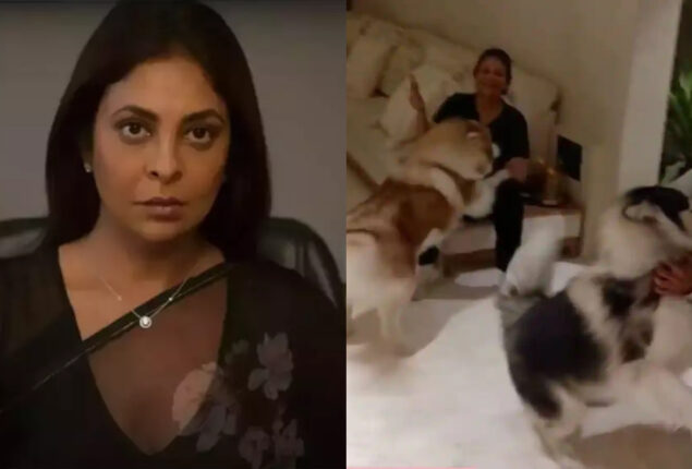 Shefali Shah