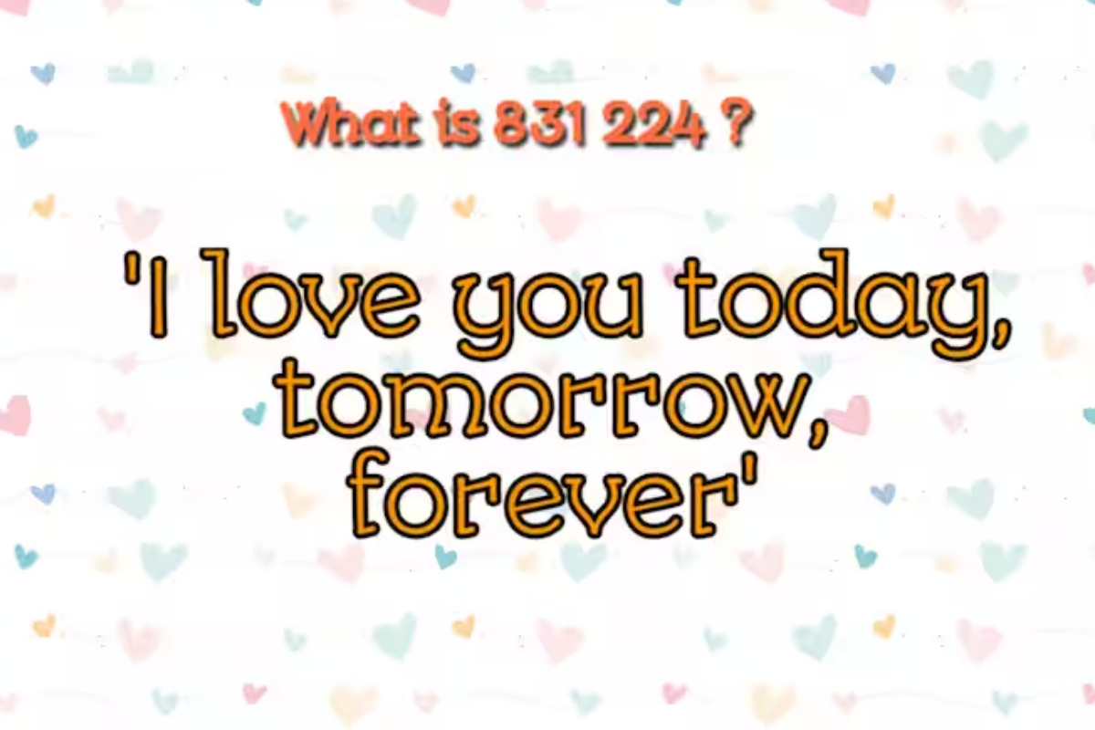 831 224