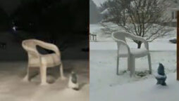 Old blizzard video goes viral in extreme cold: Watch