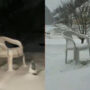 Old blizzard video goes viral in extreme cold: Watch