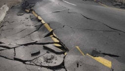 Earthquake rattles Egypt, Turkish provinces