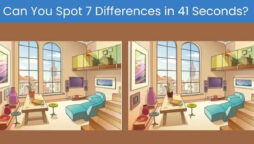 Spot The Difference: Spot 7 differences in 41 seconds