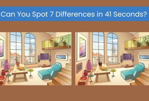 Spot The Difference: Spot 7 differences in 41 seconds