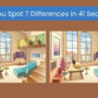 Spot The Difference: Spot 7 differences in 41 seconds