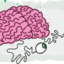 Brain Teasers: Fascinating quiz questions will delight your children