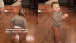 Toddler imitates