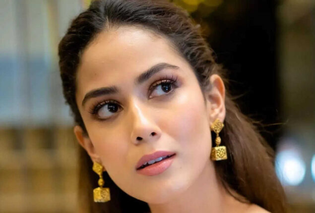 Mira Rajput gives glimpse of lavish duplex in new photos