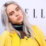 Billie Eilish asks for restraining order over alleged break in
