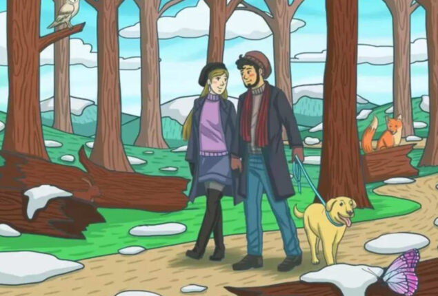 Optical Illusion: Spot the hidden rabbit inside couple’s forest stroll