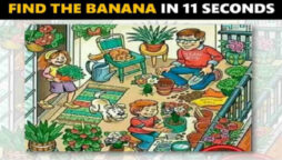 Picture Puzzle: Find the banana in this image in just 11 seconds