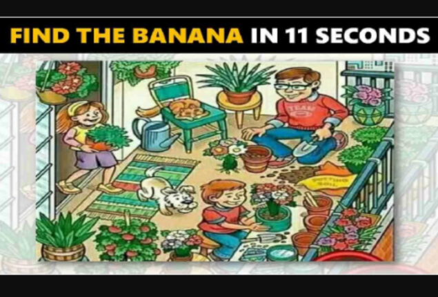 Picture Puzzle: Find the banana in this image in just 11 seconds