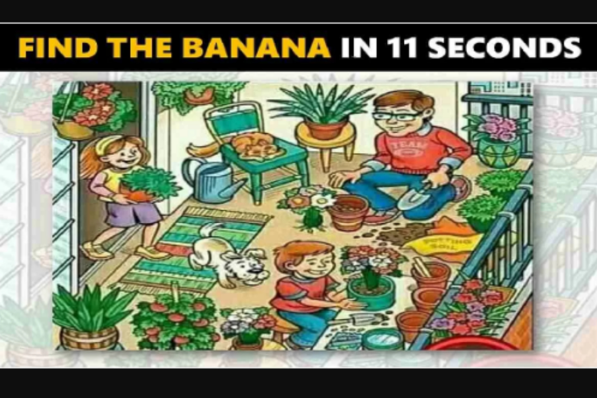 Picture Puzzle