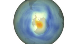 Ozone