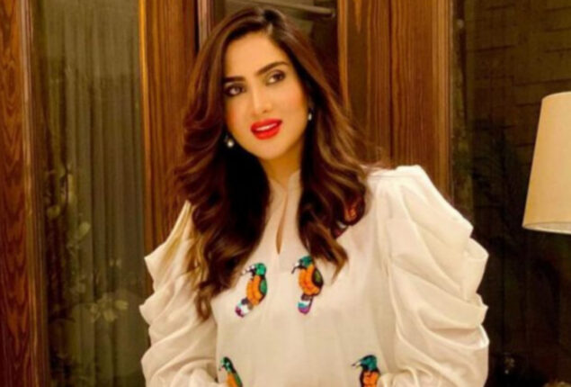 Watch: Fiza Ali’s new video takes the internet by storm