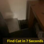 Puzzle Seek and Find: Find a hidden cat in the room in 7 seconds