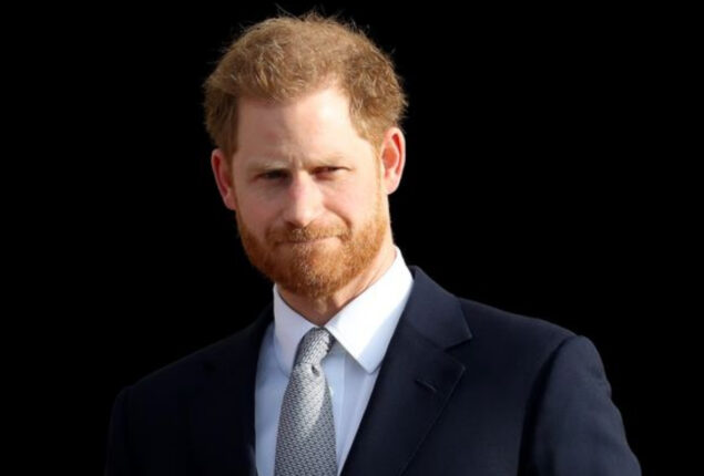 Publicity of book by Prince Harry could undo any chance of royal reconciliation: Rutger Bruining