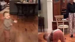 Toddler imitates her aunt while dancing ballet: Viral Video