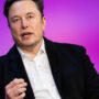 Elon Musk trial: Prospective jurors name him as narcissistic, smart