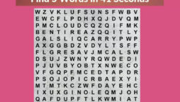 Word Search Puzzle: Find 5 words in the image in 41 seconds