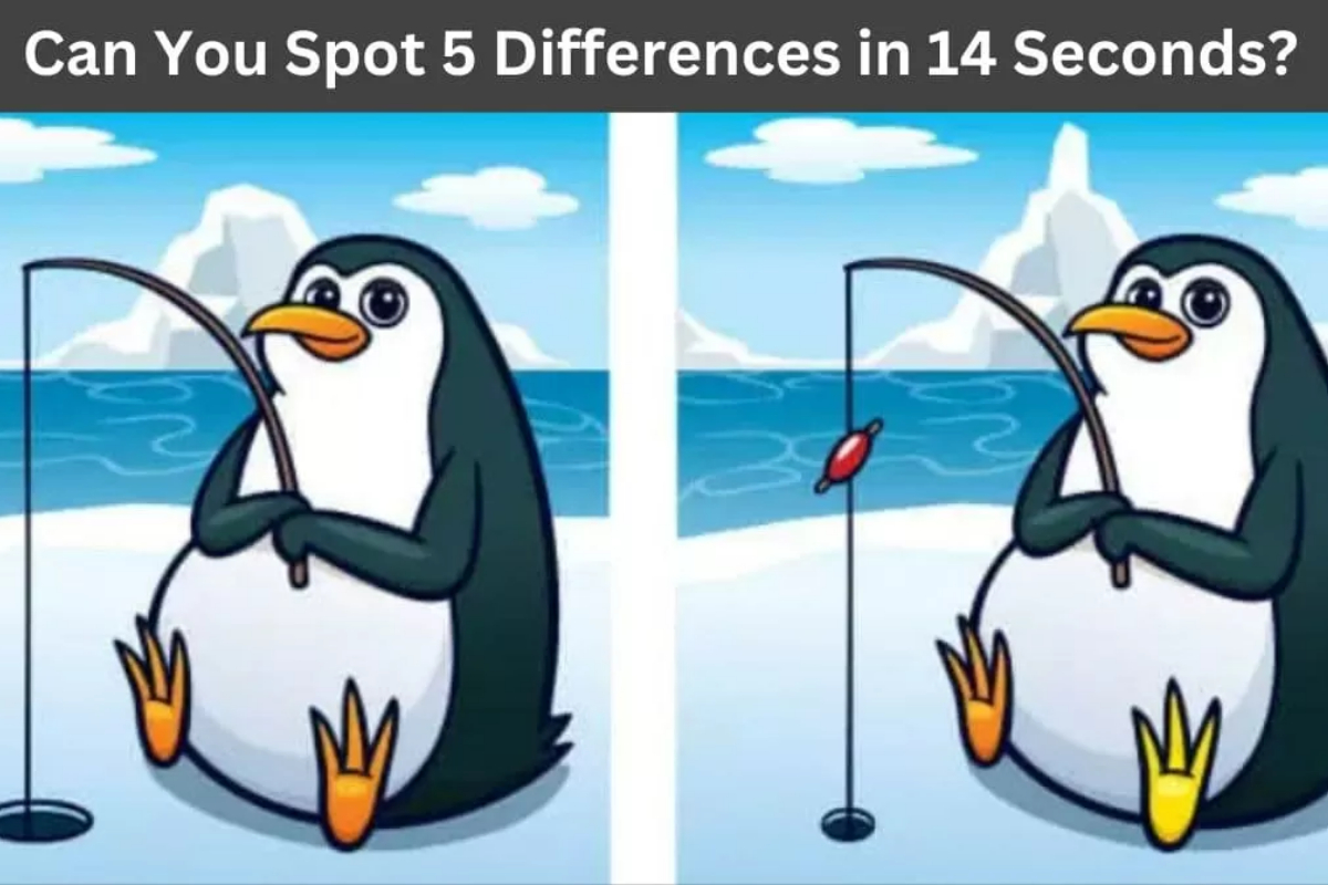 Spot The Difference