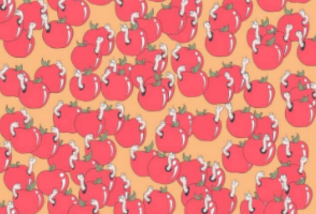 Seek and Find: Find the worm-free apple in 7 seconds