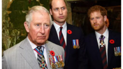 Prince Harry and Prince William Asked Their Father Charles Not to Marry Camilla