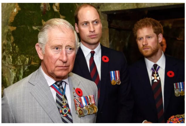 Prince Harry and Prince William Asked Their Father Charles Not to Marry Camilla