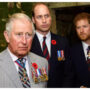 Prince Harry and Prince William Asked Their Father Charles Not to Marry Camilla