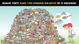 Picture Puzzle: Find these hidden items if you have hawk eyes