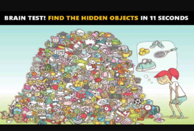 Picture Puzzle: Find these hidden items if you have hawk eyes