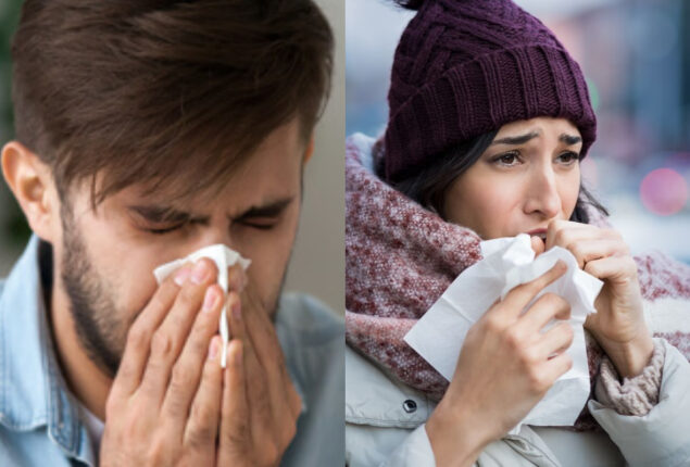  Cold And Cough Home Remedies During Winter